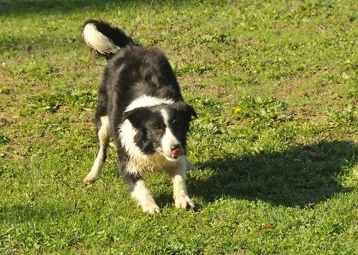 Casenuove Баньо-ди-Романья