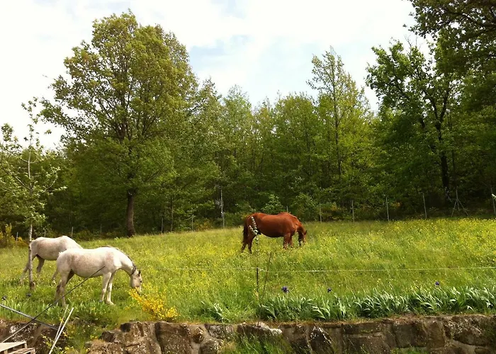 Casenuove Баньо-ди-Романья