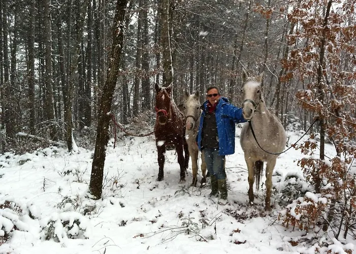 Casenuove Отель типа 