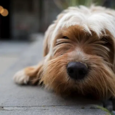 Bed & Breakfast Agriturismo Casenuove