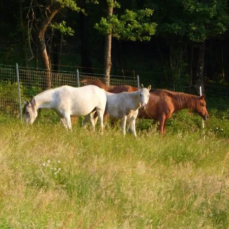 住宿加早餐酒店 Casenuove