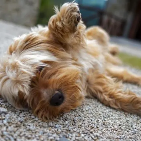 Casenuove Bed and Breakfast *