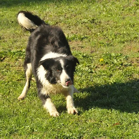 Casenuove 巴尼奥迪罗马涅