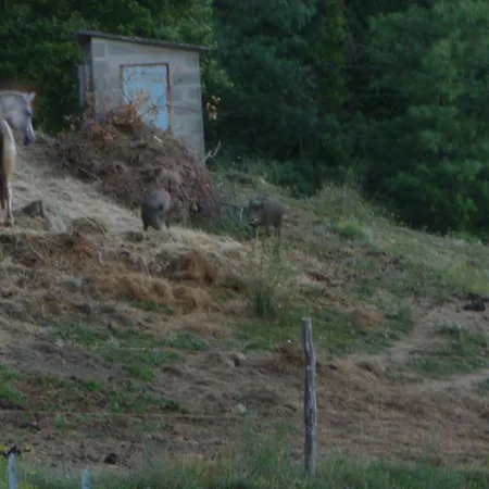 Agriturismo Casenuove Bed & Breakfast *