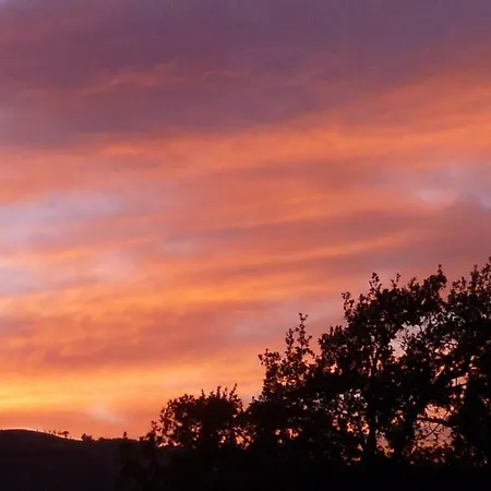 Agriturismo Casenuove Bed & Breakfast