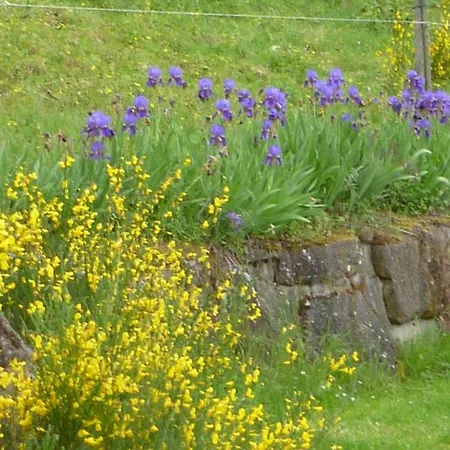 Casenuove 巴尼奥迪罗马涅