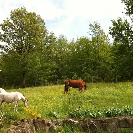 Casenuove Bagno di Romagna