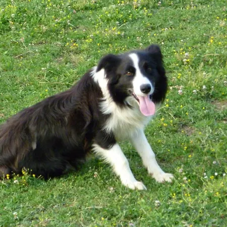 Bed & Breakfast Agriturismo Casenuove