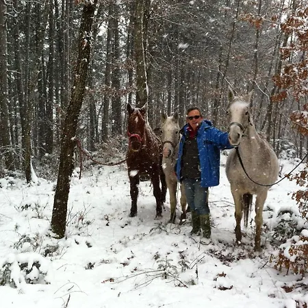Casenuove 住宿加早餐酒店
