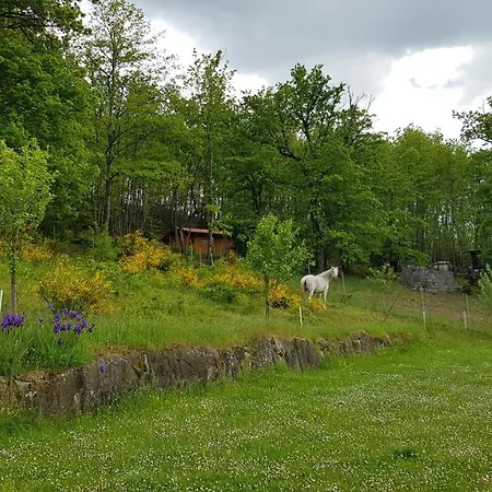 Agriturismo Casenuove *