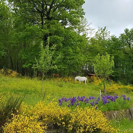 Agriturismo Casenuove Bed & Breakfast Bagno di Romagna