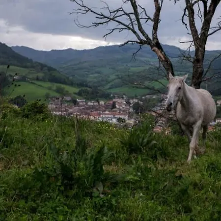 Bed & Breakfast Agriturismo Casenuove *