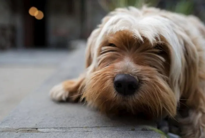 Bed & Breakfast Casenuove