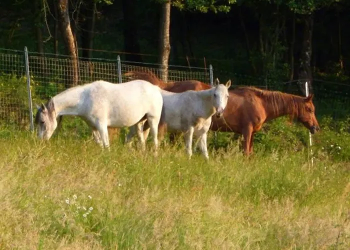 Bed and breakfast Casenuove