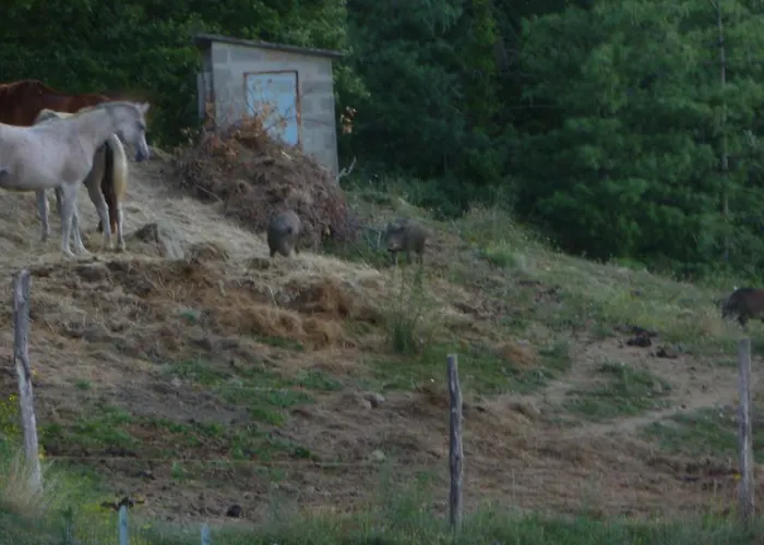 Casenuove Bed and breakfast *