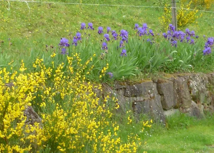 Casenuove Bagno di Romagna