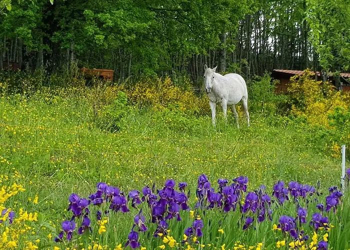 Bed & Breakfast Casenuove