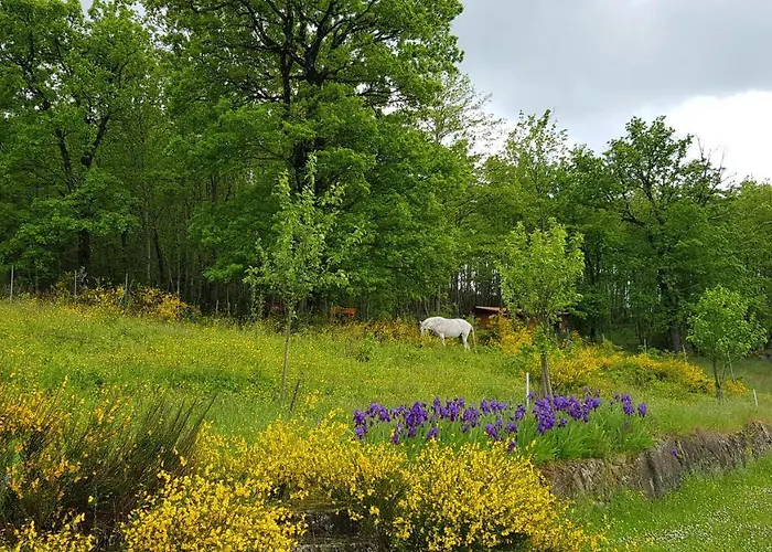Casenuove Bed & Breakfast Bagno di Romagna