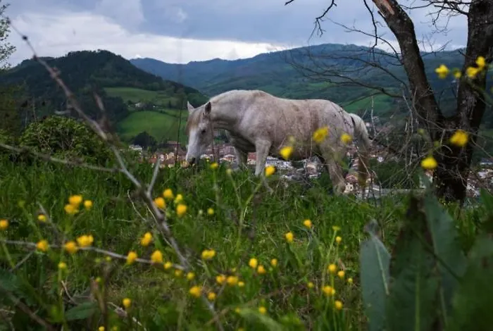 Casenuove Bed and breakfast Bagno di Romagna