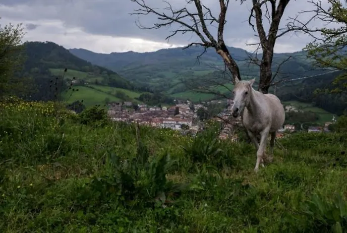 Bed and breakfast Casenuove *